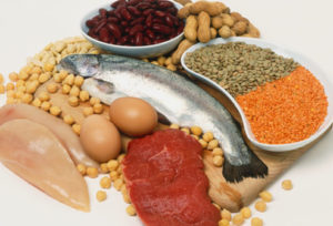 how protein helps you lose weight 