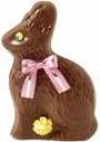 chocolate-bunny.jpg