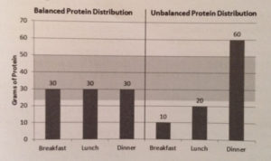protein distribution at 3 meals