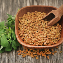 health benefits of fenugreek