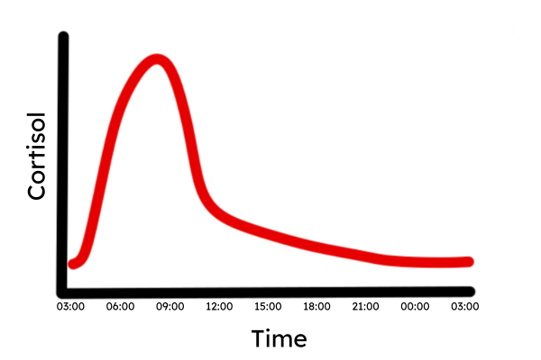 Normal daily cortisol rhythm showing cortisol peaking in the morning and gradually declining throughout the day.