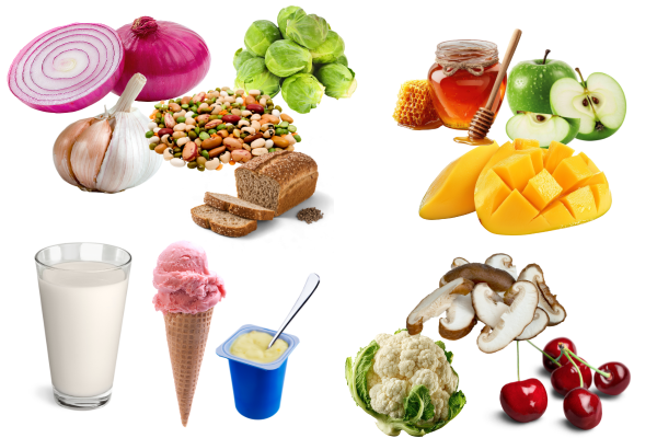 Examples of foods high in FODMAPs including onions, garlic, beans, apples, dairy, wheat bread, mushrooms, and cauliflower.